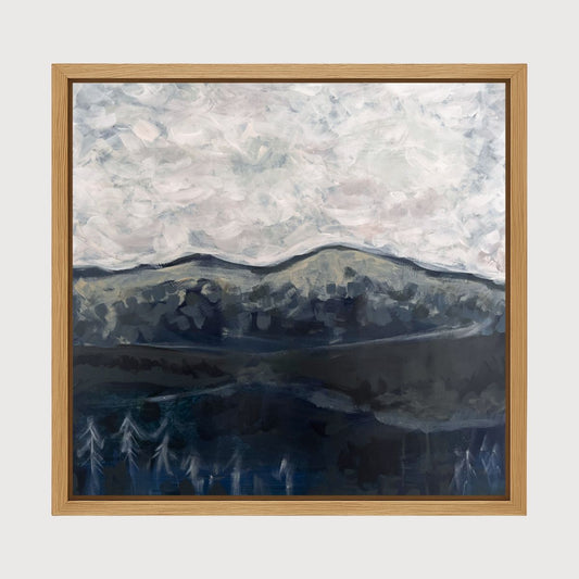 Dark Side of the Mountain