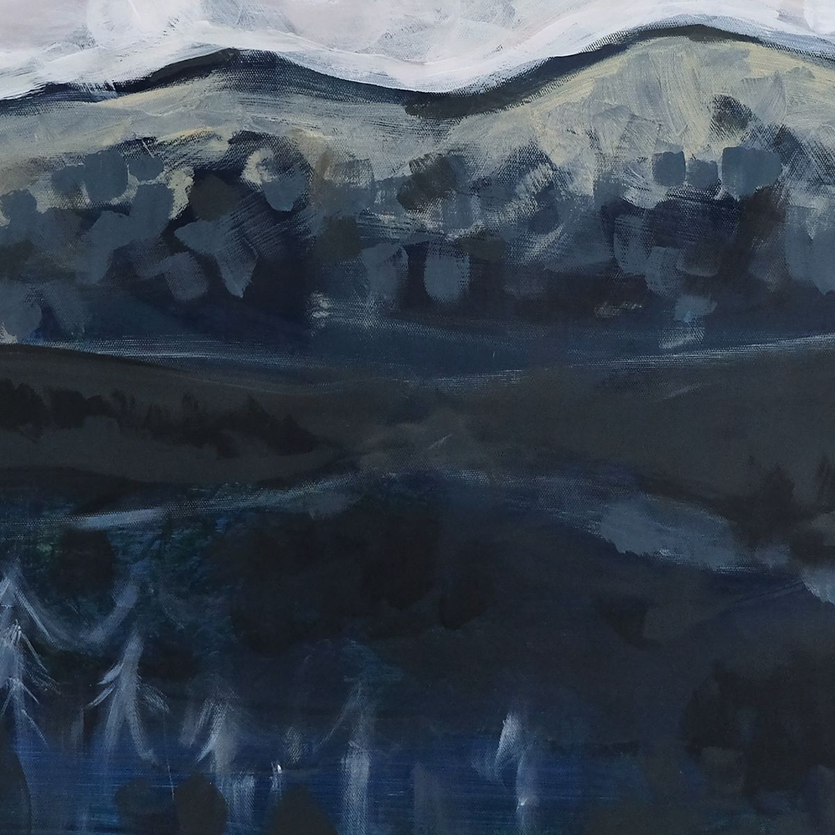 Dark Side of the Mountain